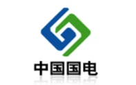 国电