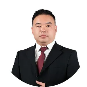 谭政 - 高级顾问